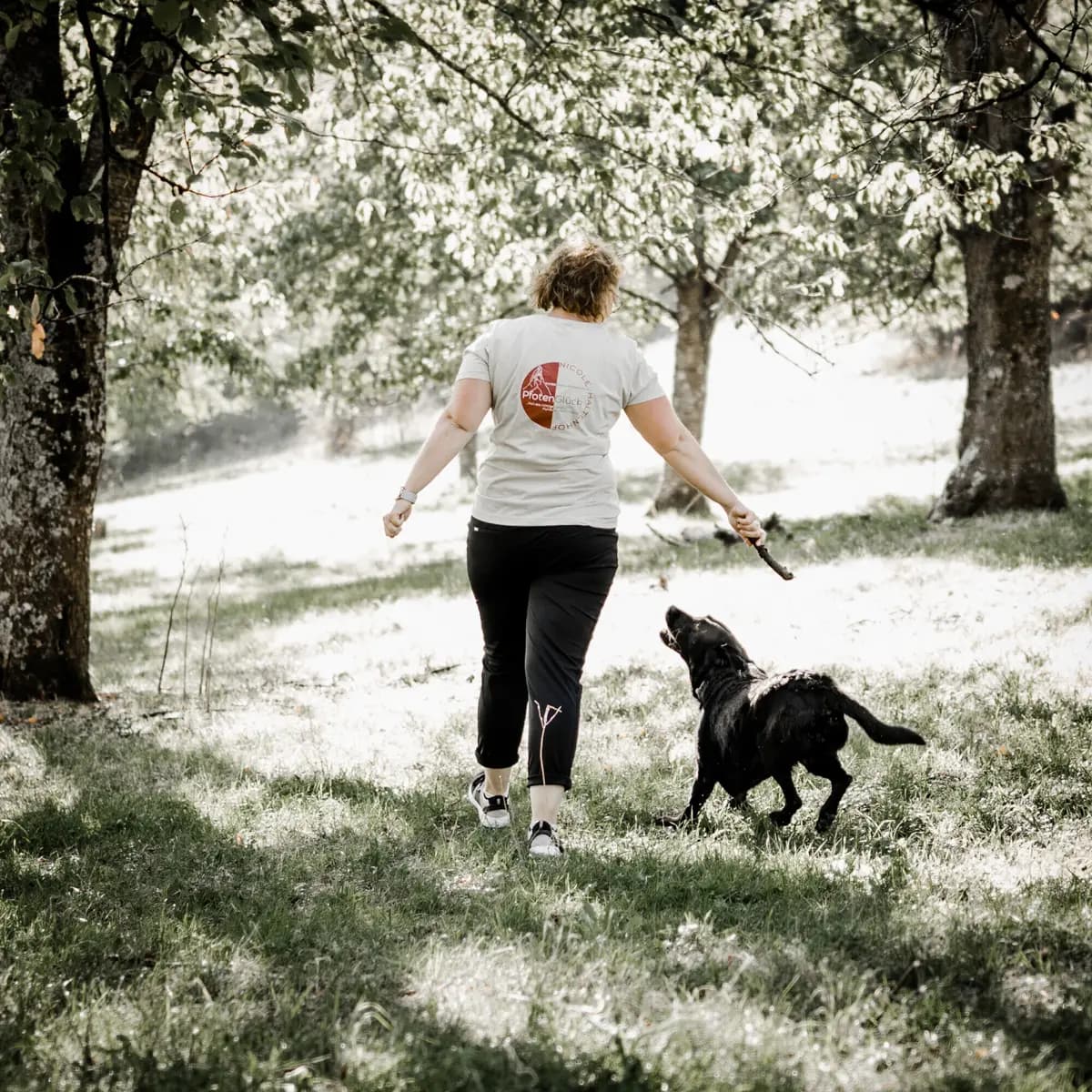 Website Fotoshooting