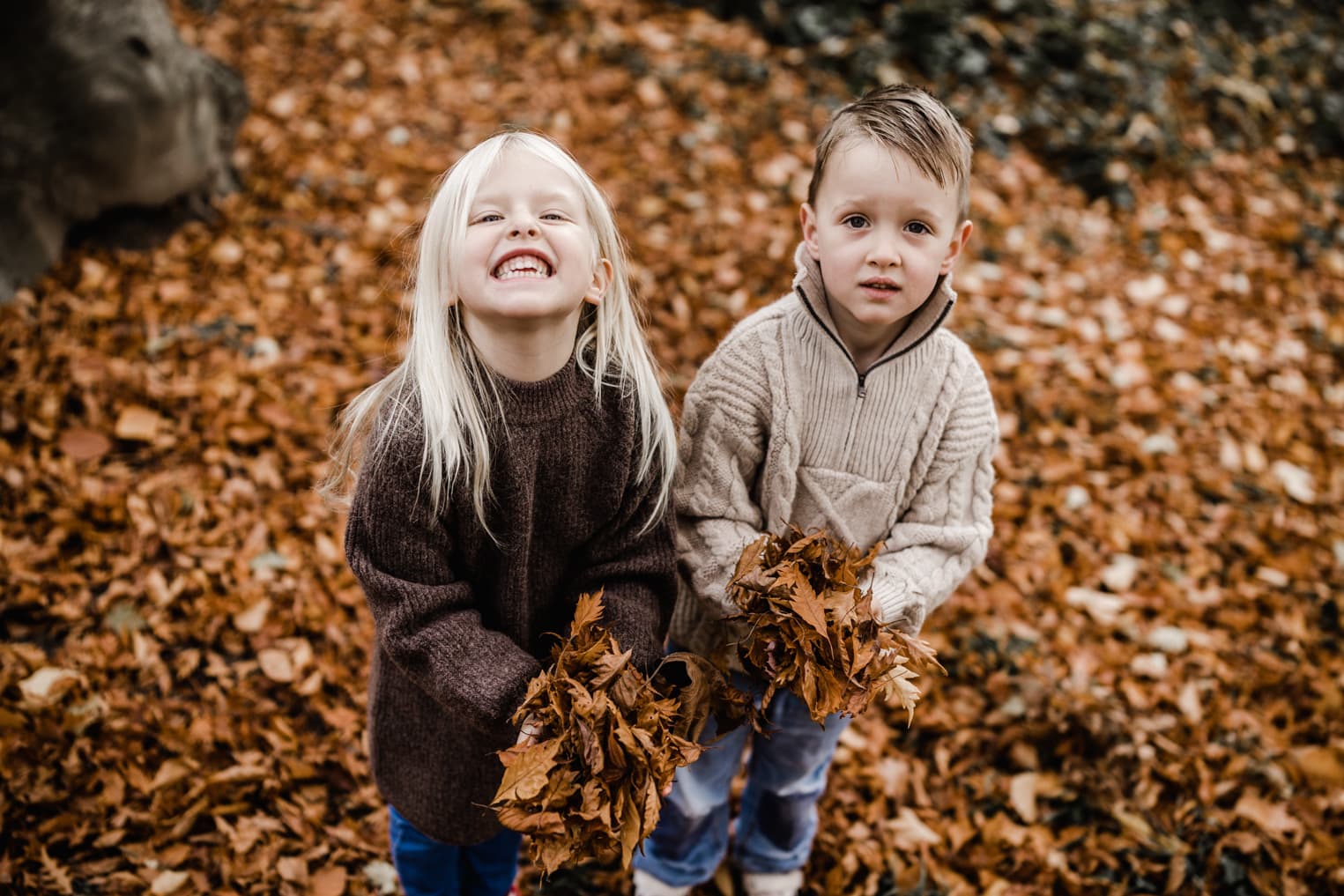 Geschwister mit Herbstblättern