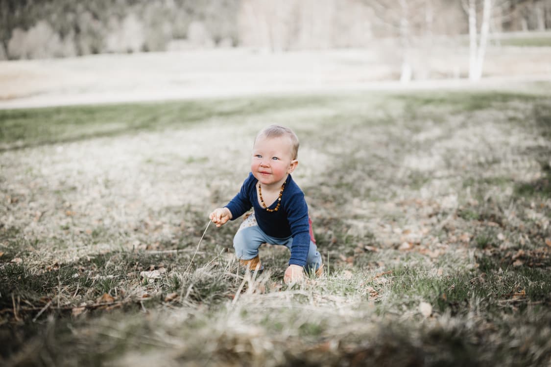 Kind krabbelt auf einer Wiese