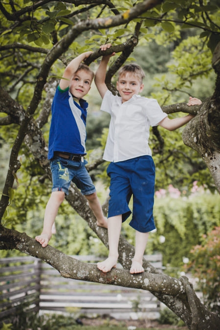 Brüder stehen auf einem Baum