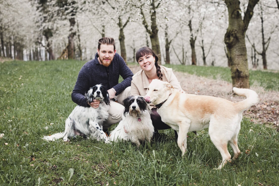 Paar mit drei Hunden in Kirschblüten Allee